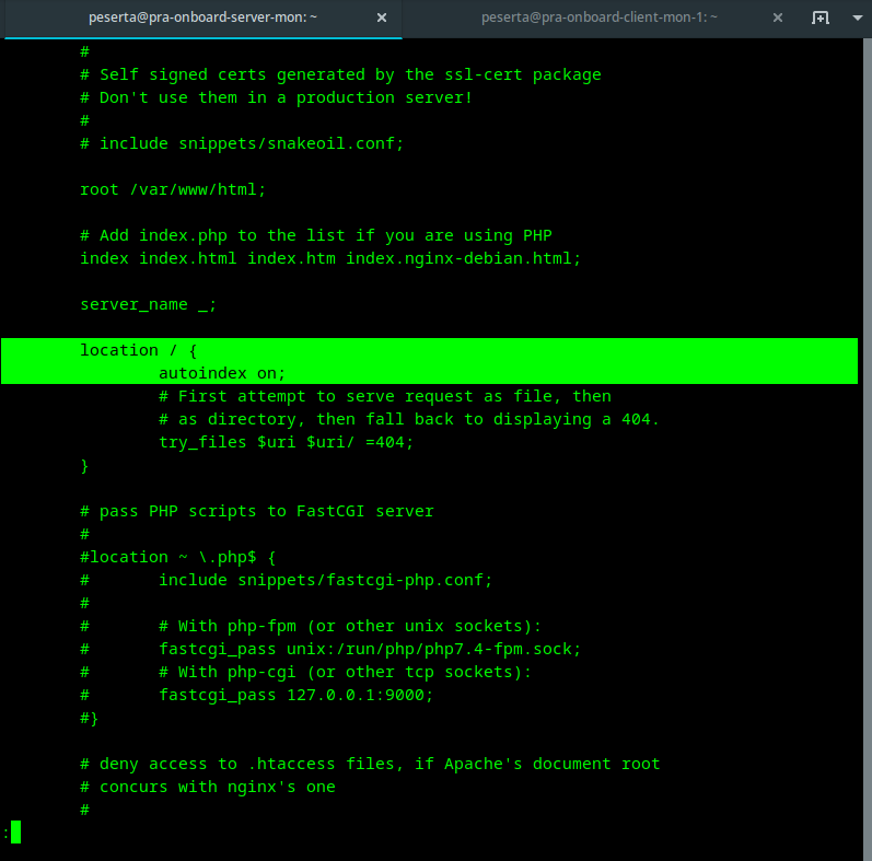 autoindex nginx