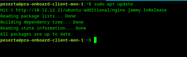 apt update