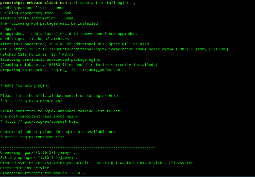 install nginx
