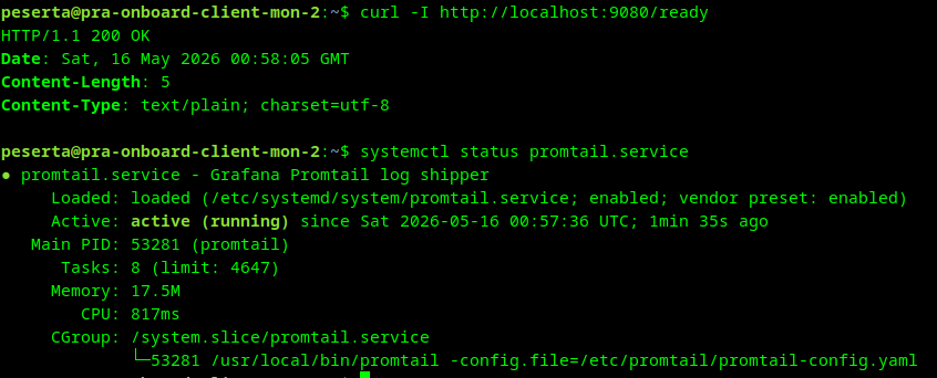 promtail-service