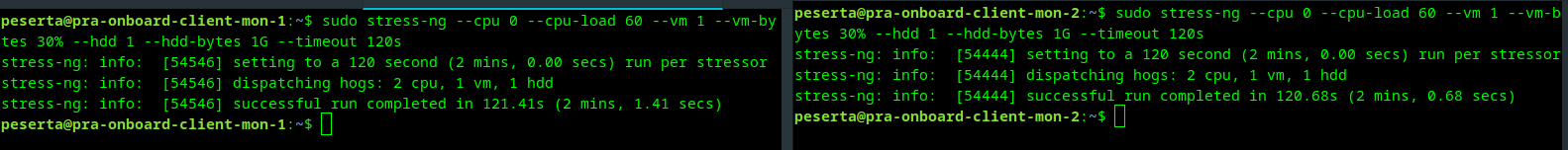 stress-ng combined