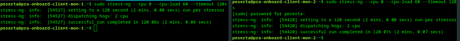 stress-ng cpu