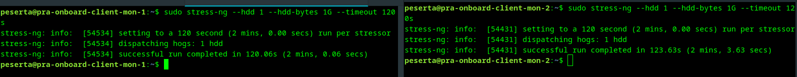 stress-ng disk