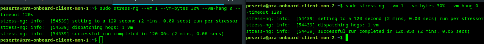 stress-ng mem